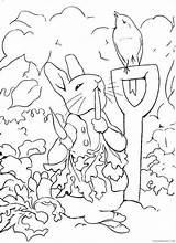 Coloring Pages Garden Rabbit Coloring4free Vegetable Related Posts sketch template