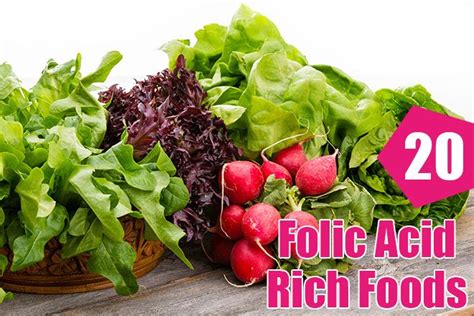 20 Folic Acid Rich Foods You Should Include In Your Diet Holistic Life
