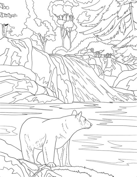 wild black bear coloring page  printable coloring pages  kids