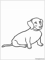 Coloring Weiner Dog Pages Color Coloringpagesonly sketch template