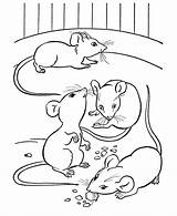 Coloring Pages Mice Kids Color Mouse Creativity Ages Develop Recognition Skills Focus Motor Way Fun sketch template