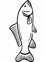 Carp Pages Coloring Fish Printable Recommended sketch template