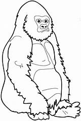 Colorir Gorilas sketch template