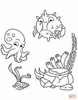 Coloring Pages Fish Octopus Pufferfish Puffer Drawing Getdrawings sketch template