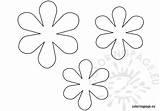Flower Shape Coloring Flowers Pages Coloringpage Eu Template Choose Board sketch template