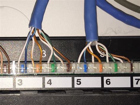 wiring diagram  cat cable