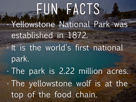 yellowstone national park  alysa farmer