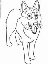 Coloring Husky Alaskan Puppy Malamute Pages Getdrawings Drawing Comments sketch template