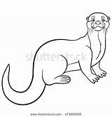 Coloring Ferret Footed Pages Getcolorings Getdrawings sketch template