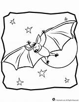 Coloring Nocturnal Fledermaus Ausmalbild Erste sketch template