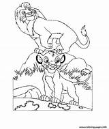 Lion Simba Coloring King Ebe8 Dad His Pages Printable Animated sketch template