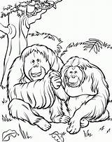 Zoo Colouring Develop Recognition Skills sketch template