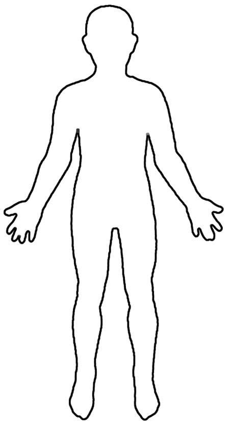 body  shown  black  white   outline   mans torso