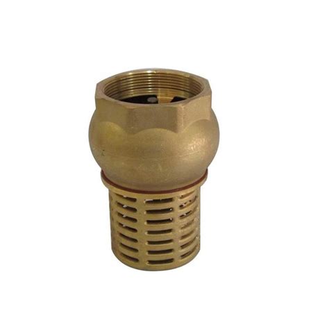 brass pump foot valve  strainer scintex australia