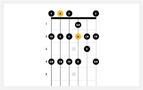 learn   play   major scale  guitar fender