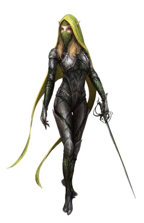 Female Elf Rogue Or Ninja Pathfinder Pfrpg Dnd Dandd D20 Fantasy