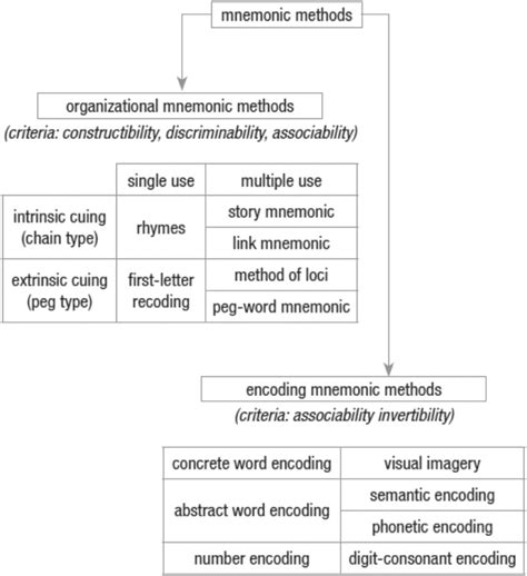 mnemonic classification  scientific diagram