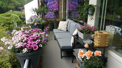 cottage tuin op het balkon veel planten en kleurrijke bloemen met een mooie zwarte loungebank
