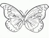 Pages Butterfly Coloring Butterflies Color Printable Kids Cartoon sketch template