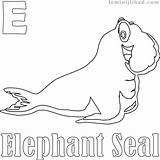 Seal Coloring Elephant Pages Getcolorings Getdrawings sketch template