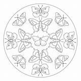 Mandala Butterfly Insect Mandalas Choose Board Pages Coloring Kindergarten sketch template