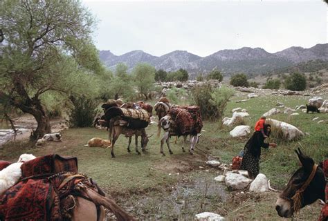 vestige  tribal pastoral nomadism  photographic documentary
