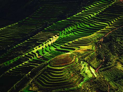8 Most Breathtaking Rice Terraces In Asia