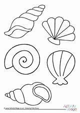 Colouring Shell Sea Shells Coloring Pages Beach Summer Printable Seaside Template Kids Seashell Colour Drawing Mar Simple Easy Crafts Mermaid sketch template