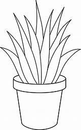 Plants Clip Plant Aloe Vera Pot Line Drawing Clipart Potted Cliparts Houseplant Coloring Drawings Plantas Pages Flower Indoor Desenhos Clipground sketch template
