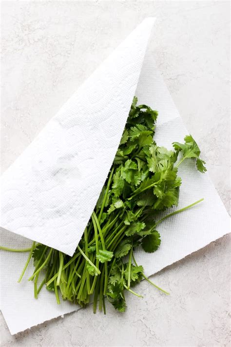 chop cilantro step  step tutorial feelgoodfoodie
