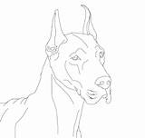 Coloring Dane Great Pages Dogs Lineart Danes Drawings Template Deviantart Sketch Comments sketch template