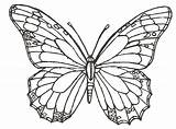Butterfly Coloring Pages Drawing Simple Sketch Butterflies Printable Template Small Realistic Flower Drawings Print Color Chocolate Adult Draw Getdrawings Templates sketch template