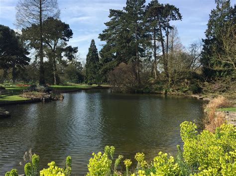 garden lake update  reflections cambridge botanic garden