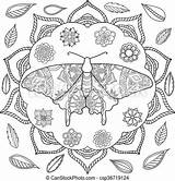 Moth Ornamental Detailed Sketch Zentangle Isolated Stress Drawn Anti Coloring Hand Adult Details High sketch template