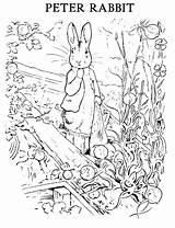 Rabbit Peter Coloring Potter Beatrix Pages Colouring Printable Sheets Kids Print Printables Color Bunny Friends Easter Book Gardening Books Sheet sketch template