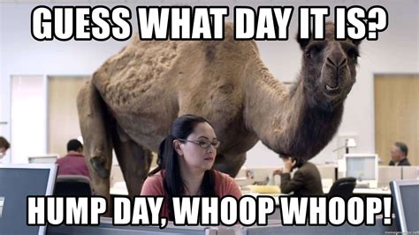 33 happy hump day meme wishes and images preet kamal
