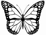 Kupu Schmetterling Ausmalbilder Mewarnai Mandalas Genial Schmetterlinge Erwachsene Vorlage sketch template