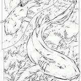 Coloring Shark Nurse Printable Book Freeprintable sketch template