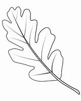 Leaf Oak Coloring Valley Leaves Categories sketch template