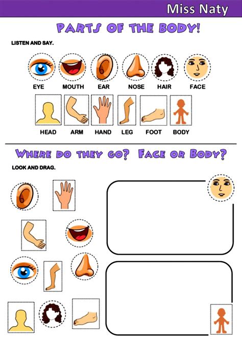 parts of the body online pdf worksheet