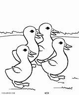 Duck Kaczka Druku Ducklings Ausmalbilder Enten Kolorowanka Kolorowanki Dziwaczka Ducks Ente Cool2bkids Ptica Bojanke Ptice Patka Kindergarten sketch template