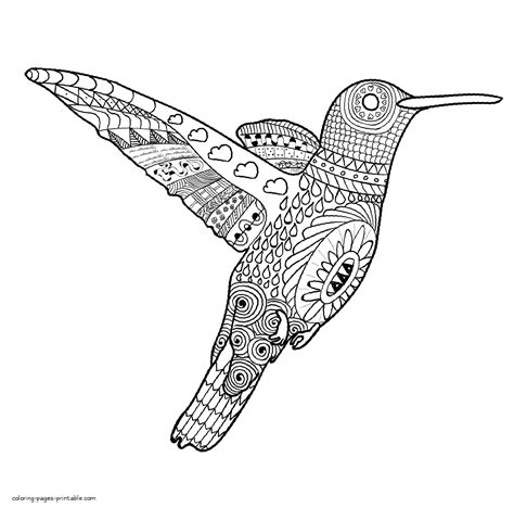printable coloring pages  adults birds birds  print birds