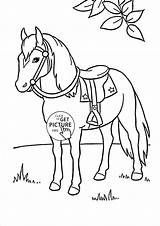 Coloring Horse Pages Kids Animal Printables Nice Wuppsy Cartoon Tags Find sketch template