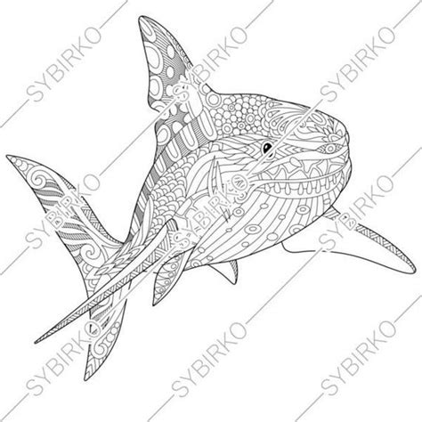 pin  sharks