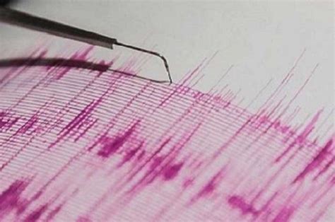 magnitude earthquake hits eastern indonesia world news india tv