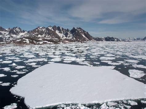 Scientists Find Pocket Of Warm Water Trapped Under Arctic