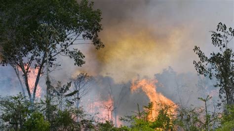 brazilie brandt vuurzee  amazonegebied door massale ontbossing rtl