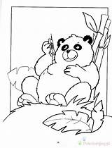Kolorowanki Pandy Panda sketch template