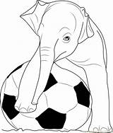Coloring Elephants Playing Football Elephant Pages Coloringpages101 Color sketch template