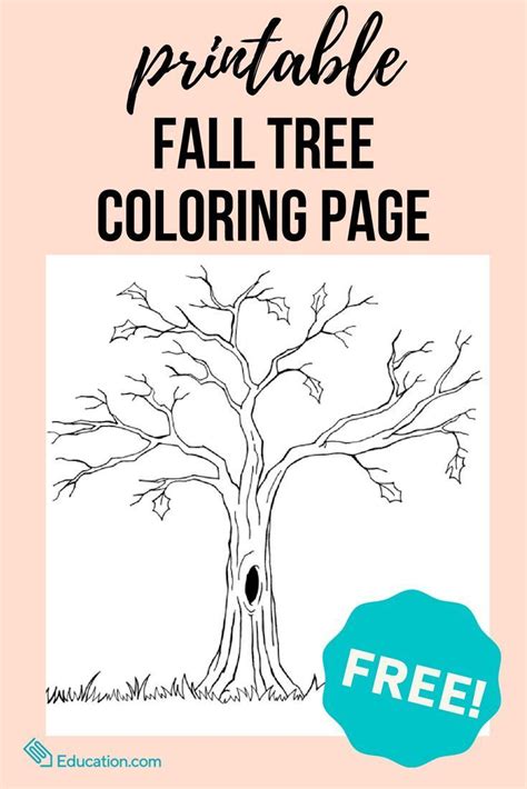 fall tree coloring page printable coloring coloringpages